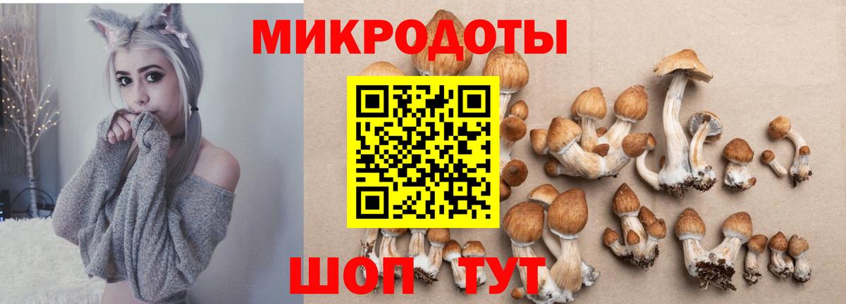 Псилоцибиновые грибы ЛСД  Вход с VPN  Сызрань  Галлюциногенные грибы Psilocybine cubensis 